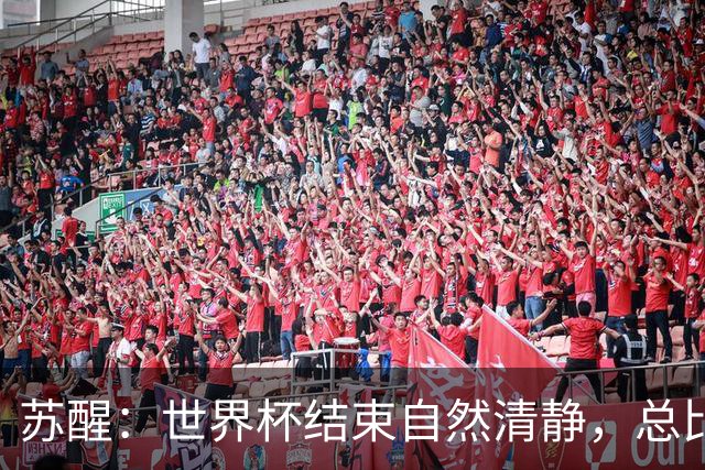 苏醒：世界杯结束自然清静，总比各种营销踢到一半就淘汰的清净好